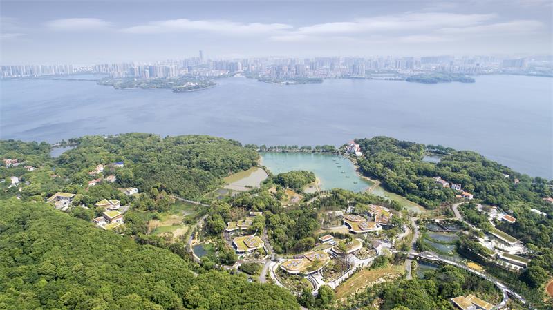 岳阳中华大熊猫苑 岳阳中华大熊猫苑